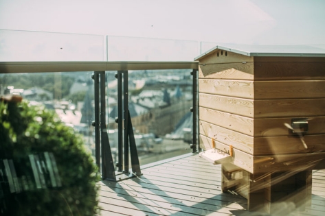 Apiarists examine the Overlook Medical Center rooftop beehives.
