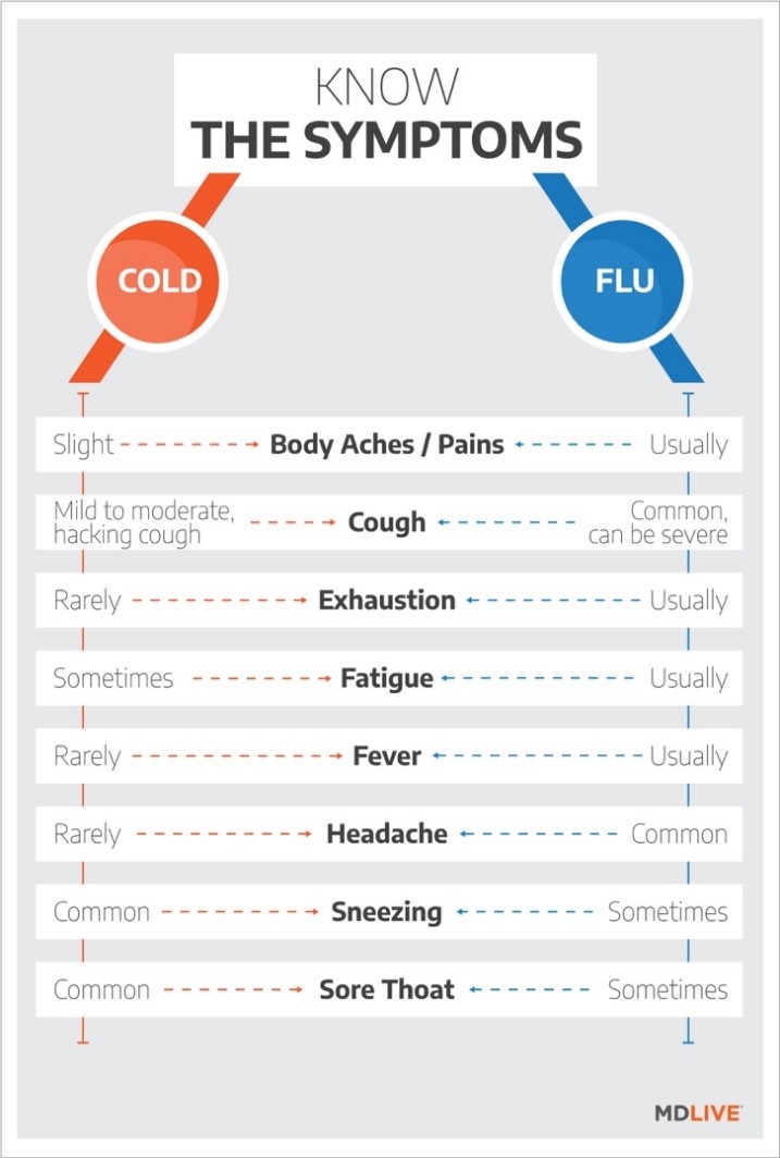 Is it a cold, or is it a flu symptom graphic.