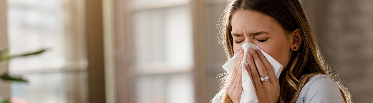 Gripe (influenza)