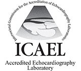 ICAEL_accreditation_logo-160x140
