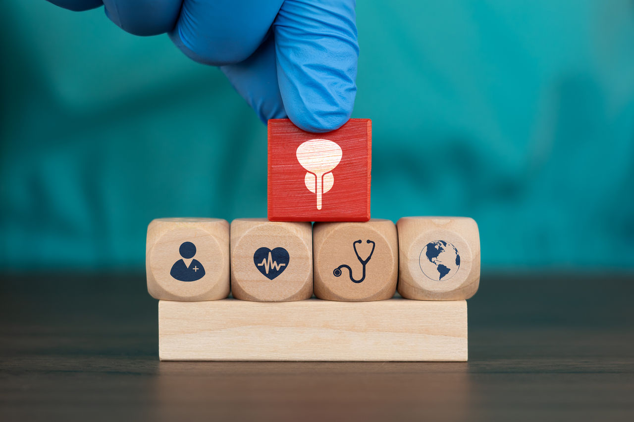 Male health concept, a doctor's hand shows a wooden cube with a prostate and bladder icon, prostate and bladder cancer, medical and urological prevention, World Prostate Cancer Day