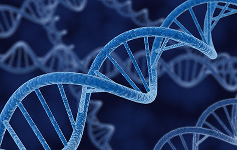 Una cadena de ADN humano sobre un fondo azul.