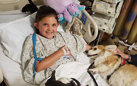 Paciente con tumor cerebral del Goryeb con perro de terapia con mascotas