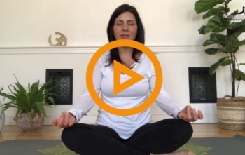 Yoga and meditation videos for families