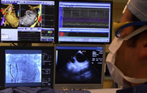 Cardiac electrophysiologist reviewing test results