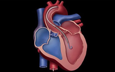 Diagrama del corazón