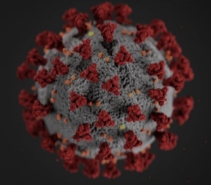 An magnified image of the COVID-19 virus.