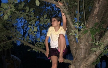 Sam K. se sienta en un árbol al que subió después de una cirugía por escoliosis.