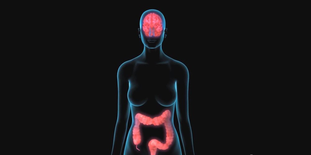 Conexión entre la mente y el cuerpo y el síndrome del intestino irritable