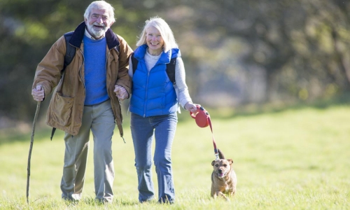 Couple walking in the park with their dog