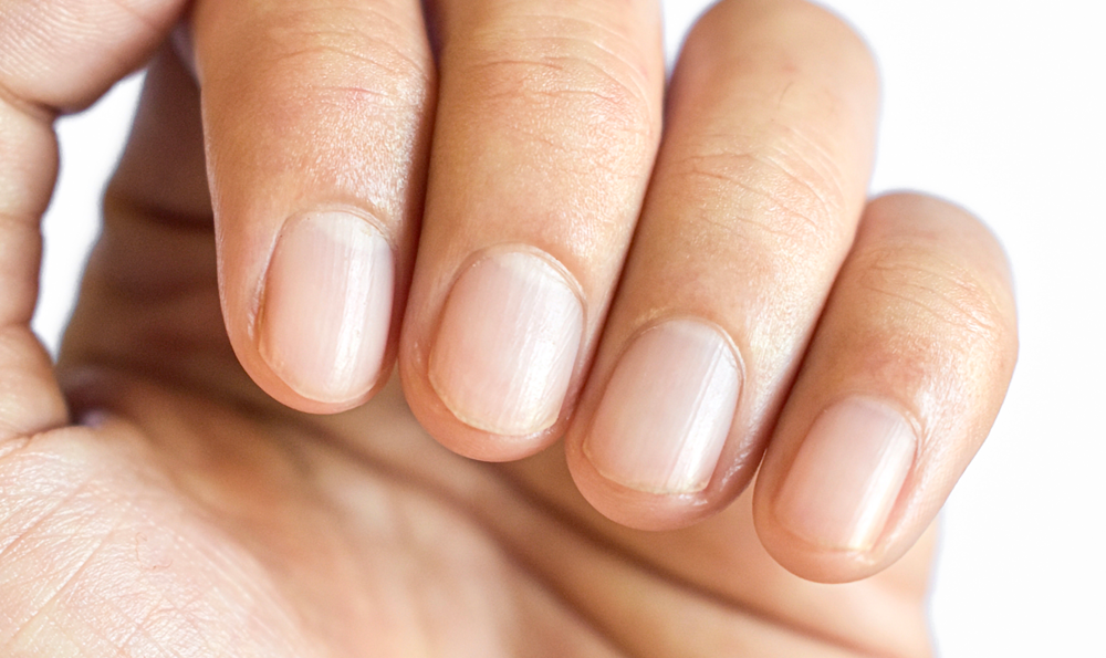 A picture of human fingertips, showing healthy nails.