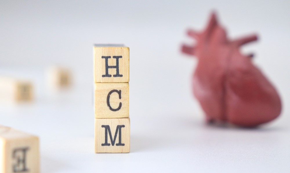 Wooden blocks spelling "HCM" is shown.