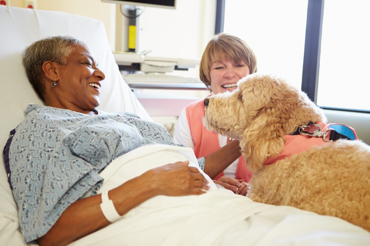 Patient with dog and soothing paws team member