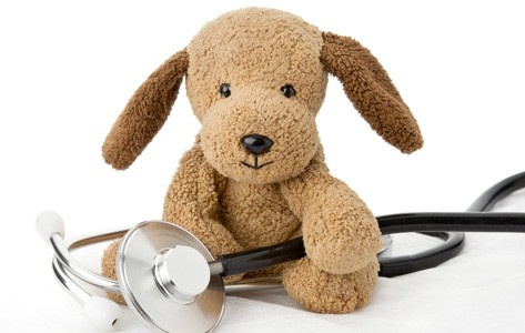 Plush dog with stethoscope